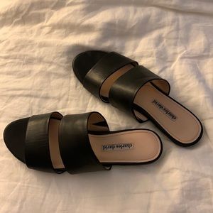 Charles David Slides 8.5